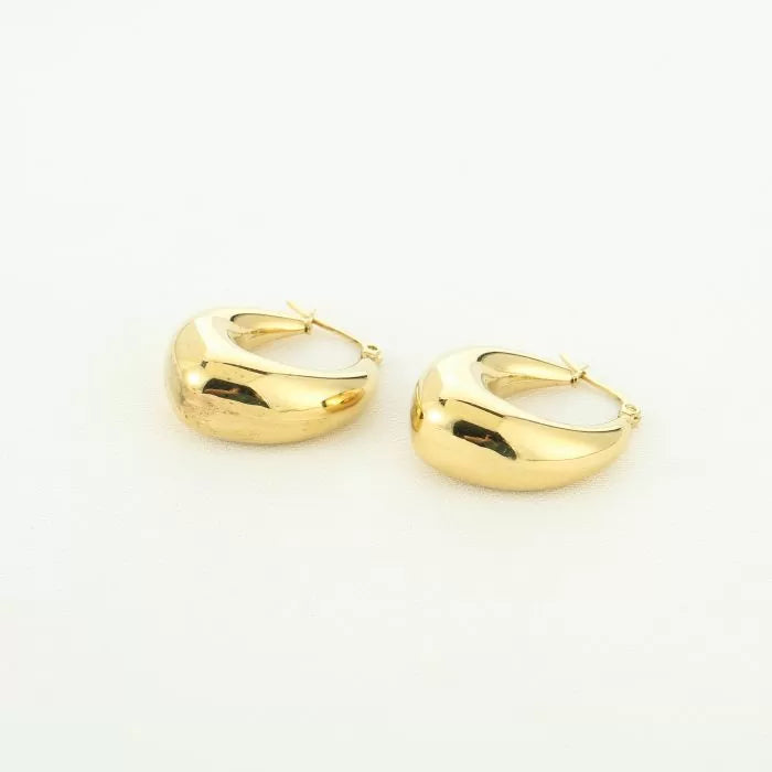 Aylena Earrings - Gold