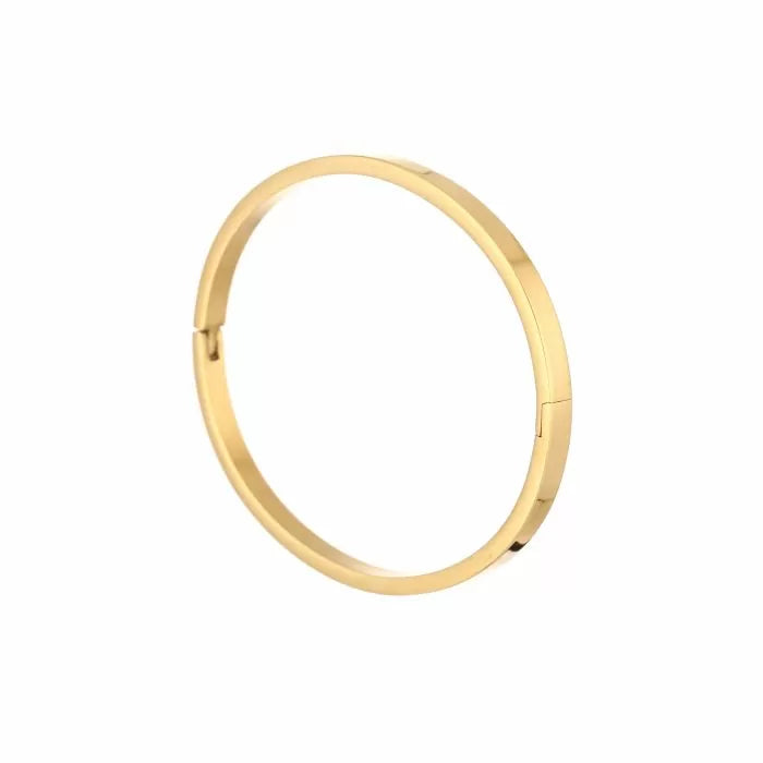 Bangle Basic Bracelet - Gold