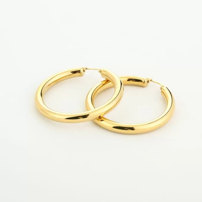 Basic Carlijn Hoops Earrings - Gold