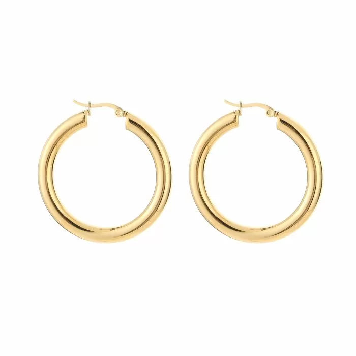 Basic Small Carlijn Hoops Earrings - Gold