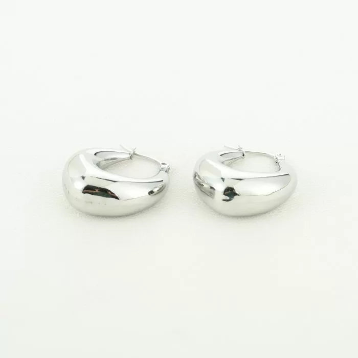 Aylena Earrings - Silver