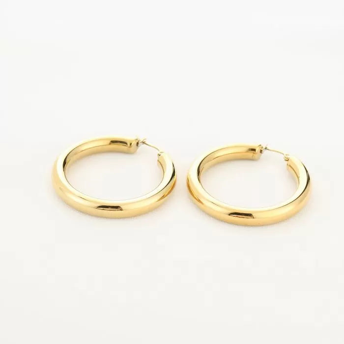 Basic Small Carlijn Hoops Earrings - Gold